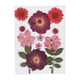 thumbnail image 1 of Flores secas prensadas naturales para hacer jabón de resina epoxi, velas y joyas artesanales. Crisantemo De Cristal Rojo, 1 of 9