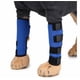 thumbnail image 3 of Rodilleras para mascotas con bandas de soporte, protectores de piernas para perros, protector de piernas para perros, cubierta para heridas de mascotas para cirugía de perros (azul L) oso de fresa Electrónica, 3 of 5