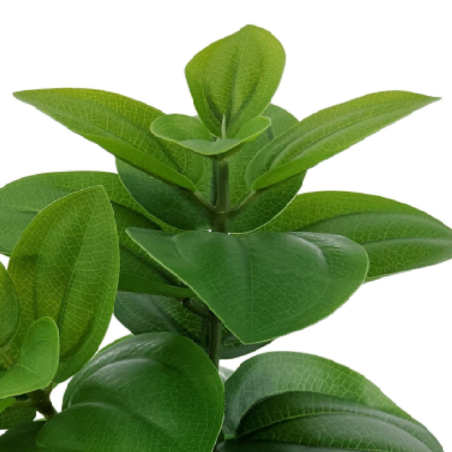 Mainstays 9 in Artificial Peperomia Plant in White Pot, Green Color, 0.5lb Weight.
