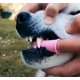 thumbnail image 5 of 2 cepillos de dientes de silicona para perros, diseño ergonómico, fáciles de usar con los dedos, color rosa., 5 of 5