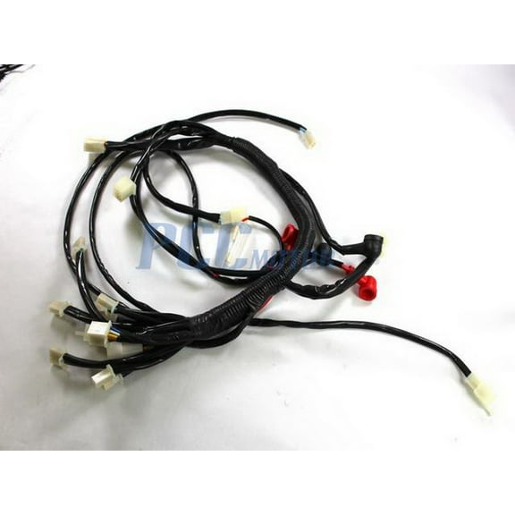 125CC WIRING HARNESS ASSEMBLY ATV QUAD COOLSTER 3125R 3125XR8 3125XR8 WH11
