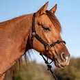 thumbnail image 2 of Nylon Rope Combination Halter, 2 of 4
