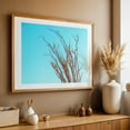 thumbnail image 5 of Ocotillo in the Fall - Mojave Desert - California Photography Unframed Wall Art Print 8 x 12 inches, 5 of 7