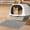 Gray with Mat, variant on Portable Cat Litter Box with Handle, Large Space Design, Fully Enclosed Front Entry & Litter Filter Pedal, Covered Kitty Toilet for Odor Control