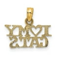 thumbnail image 3 of 14k Yellow Gold Polished Finish I HEART MY CATS Talking Charm Pendant, 3 of 4
