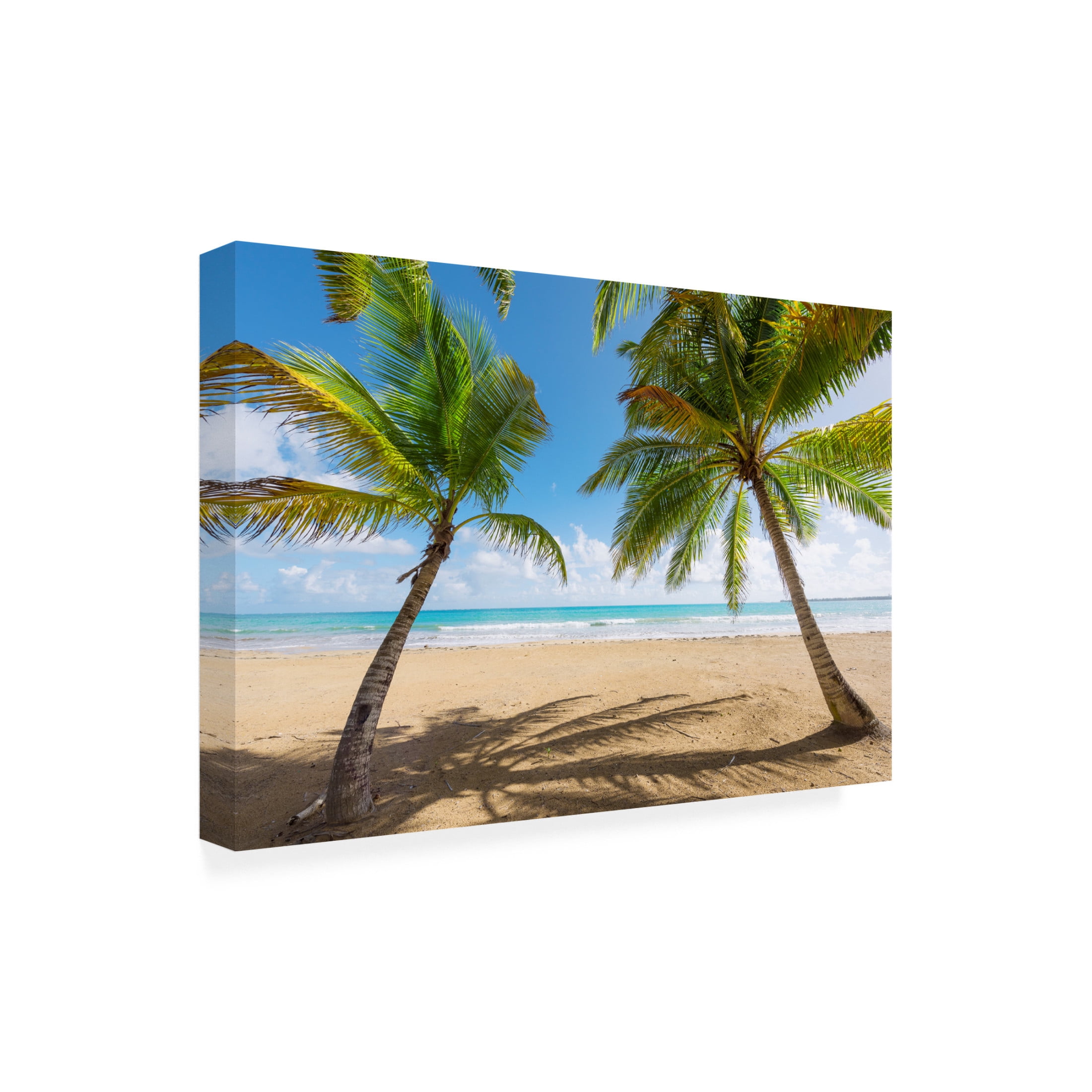 Trademark Fine Art Stefan Hefele Palmy Beach Canvas Wall Art