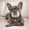 thumbnail image 6 of Nylabone Strong Chew Antler Dog Toy, Dog Chew Toy, Made with Real Venison Flavor, Medium, 1 Count, 6 of 12