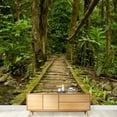 thumbnail image 3 of wall26 - Low Angle View of a Wooden Bridge in The Ecuadorian Jungle. - Removable Wall Mural | Self-Adhesive Large Wallpaper - 66x96 inches, 3 of 6
