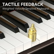 TERENCE 88 Key Piano Keyboard Digital: 88 Key Keyboard Piano Semi-Weighted Full Size Premium Sound MIDI Headphone Jack Triple Pedal for Beginners to Professionals
