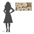 thumbnail image 3 of Global Gallery Jenny Thomlinson,'Daisies in the Moonlight' Stretched Canvas Artwork, 3 of 3