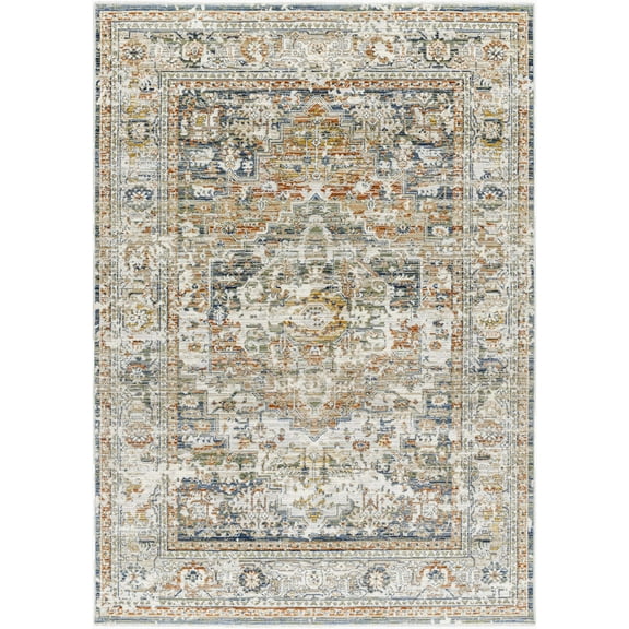 BoutiqueRugs Kazou Traditional Area Rug - Natural Gray - 2' x 2'11"