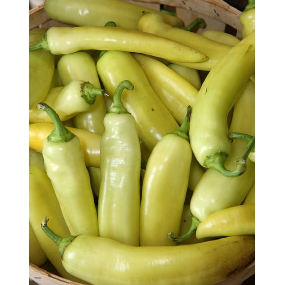 Hungarian Hot Yellow Wax Pepper Plant - 2.5" Pot