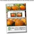 thumbnail image 4 of Big Max Pumpkin Seeds for Planting, 10 Heirloom Seeds Per Packet Non GMO Seeds, 90% Germination Rate, Botanical Name Cucurbita pepo, Great Home Garden Gift, 4 of 5