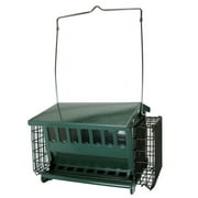Audubon 7454 11" X 7" Dark Green Steel Seeds 'N More Bird Feeder