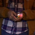 thumbnail image 4 of shiyou-Big Discoveries WildLight Animal Carabiner Flashlight - Fun Mini Keychain Flash Lights for Kids, Nurses, Camping, 4 of 4