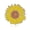 Silver, variant on Sunflower Hard Enamel Lapel Pin | Clayton Jewelry Labs