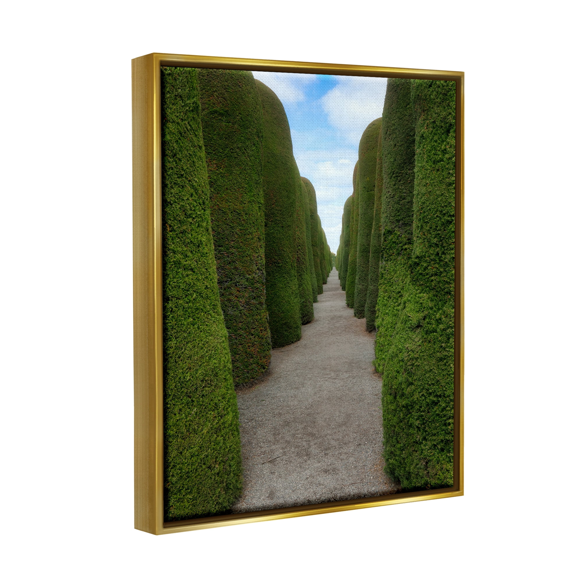 Stupell Industries Topiary Trees Hedge Pathway Landscape Photography Gold Floater Framed Art Print Wall Art