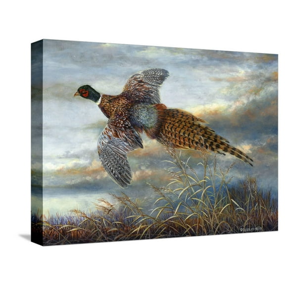 Art.com Taking Flight Stretched Canvas Print Wall Art by Carolyn Mock, 16" x 12"