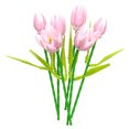 thumbnail image 1 of Flower Bouquet Building Set Tulips Artificial Flowers, Plant Botanical Building Blocks for Adults Home Office Decor Compatible with Lego Pink Color, 1 of 5