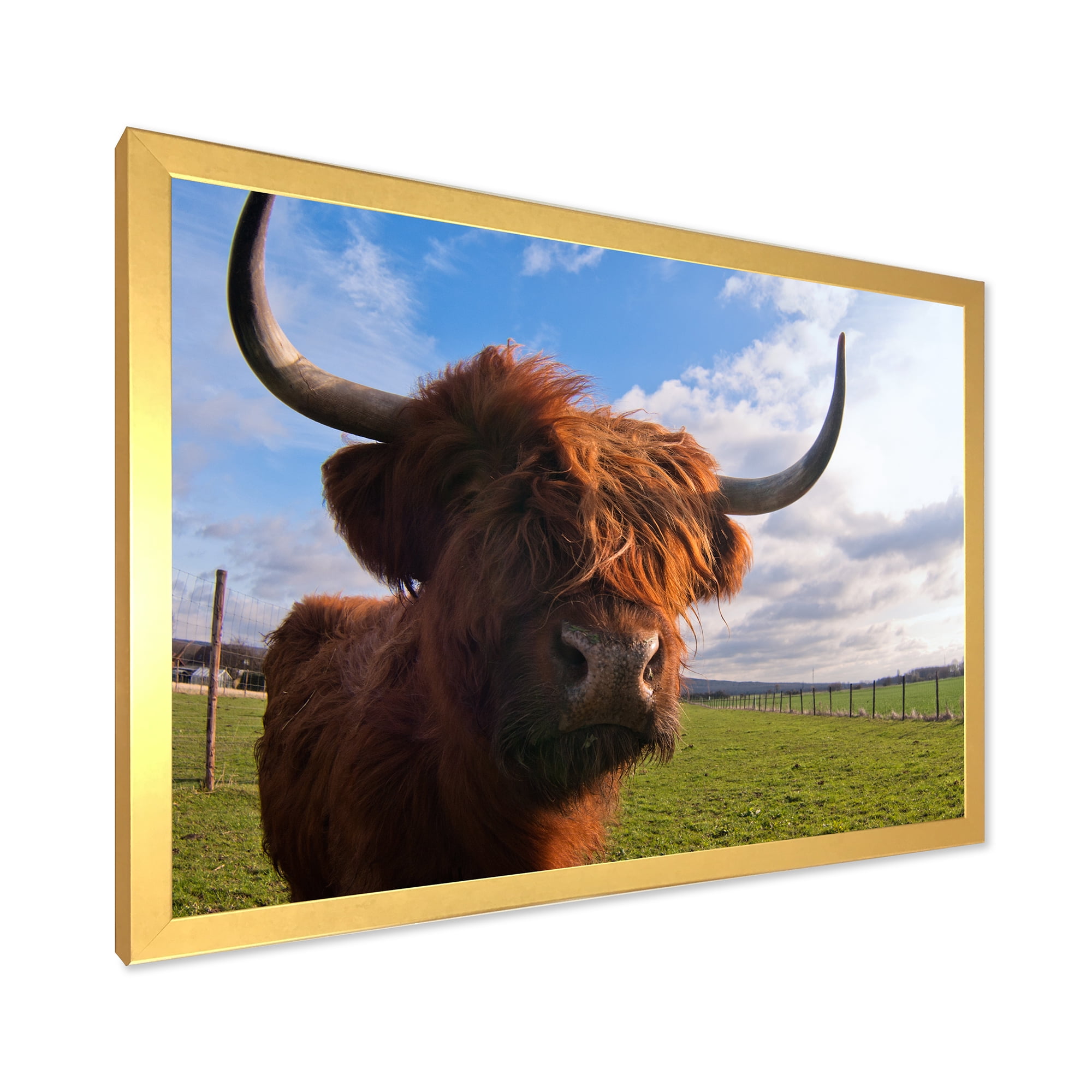 Designart 'Close Up Portrait Of A Yak' Farmhouse Framed Art Print