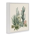 thumbnail image 2 of Stupell Industries Bohemian Mojave Green Succulents White Framed Giclee Art, 24 x 24, by Nan, 2 of 7