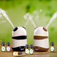 thumbnail image 3 of WANNGWE One Recipe Essential Oil 6 Pack Set Massage Aromatherapy Essential Oil MR97-844, 3 of 3