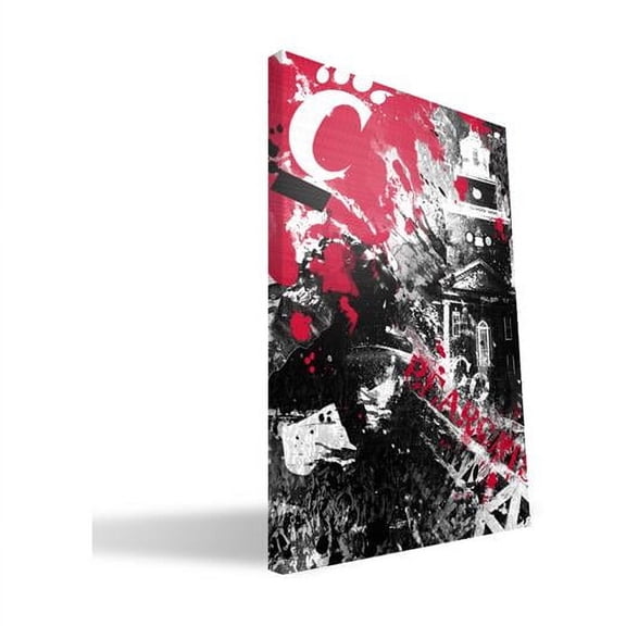 Paulson Designs  Cincinnati Spirit Canvas, 24 x 36 in.