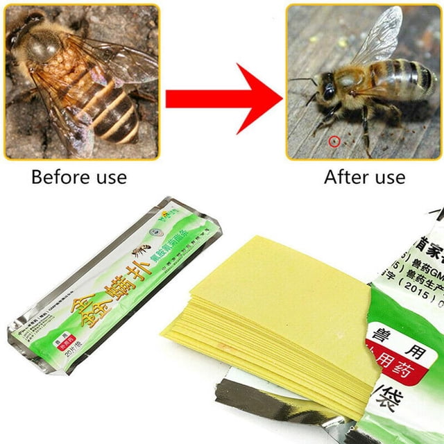 Tiras Para matar ácaros de abejas Hugtrwg 20 piezas miticida instantáneo