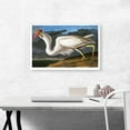 thumbnail image 2 of ARTCANVAS Great White Heron Canvas Art Print by John James Audubon - Size: 26" x 18" (1.50" Deep), 2 of 9