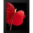 thumbnail image 2 of Seidman, Barry 14x18 Black Modern Framed Museum Art Print Titled - Anthurium 1, 2 of 5