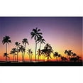 thumbnail image 1 of Biggies, Inc. WW-PLM-100 Window Well Scenes - Palm-100, 1 of 1