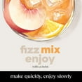 thumbnail image 4 of sodastream Crafted Mixers White Peach Ginger, 11.1oz, 3pk, 4 of 10