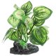 thumbnail image 5 of Plastic Aquatic Plants Ornament For Aquarium Habitat 6.8X4.5X10Cm Light Green Realistic Decoration 1 Set, 5 of 5