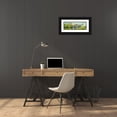 thumbnail image 3 of Parsons, Jane Henry 32x13 Black Ornate Wood Framed with Double Matting Museum Art Print Titled - Monastero 14, 3 of 4