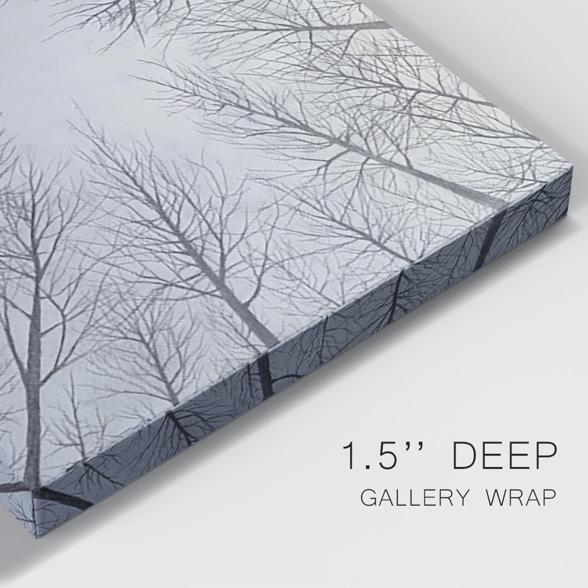 Deciduous Canopy II Premium Gallery Wrapped Canvas - Ready to Hang