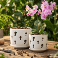 thumbnail image 3 of (2 pcak)BUYMAX 5+6 inch white ceramic orchid pot with holes, Decorative mushroom flower pots with Saucers, 3 of 7