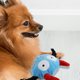thumbnail image 4 of Juguetes para perros con chirrido, juguetes interactivos para masticadores, juguetes duraderos para tirar y buscar, juguetes y pelotas de peluche para perros pequeños/medianos/grandes Zhivalor 2035134-2, 4 of 9