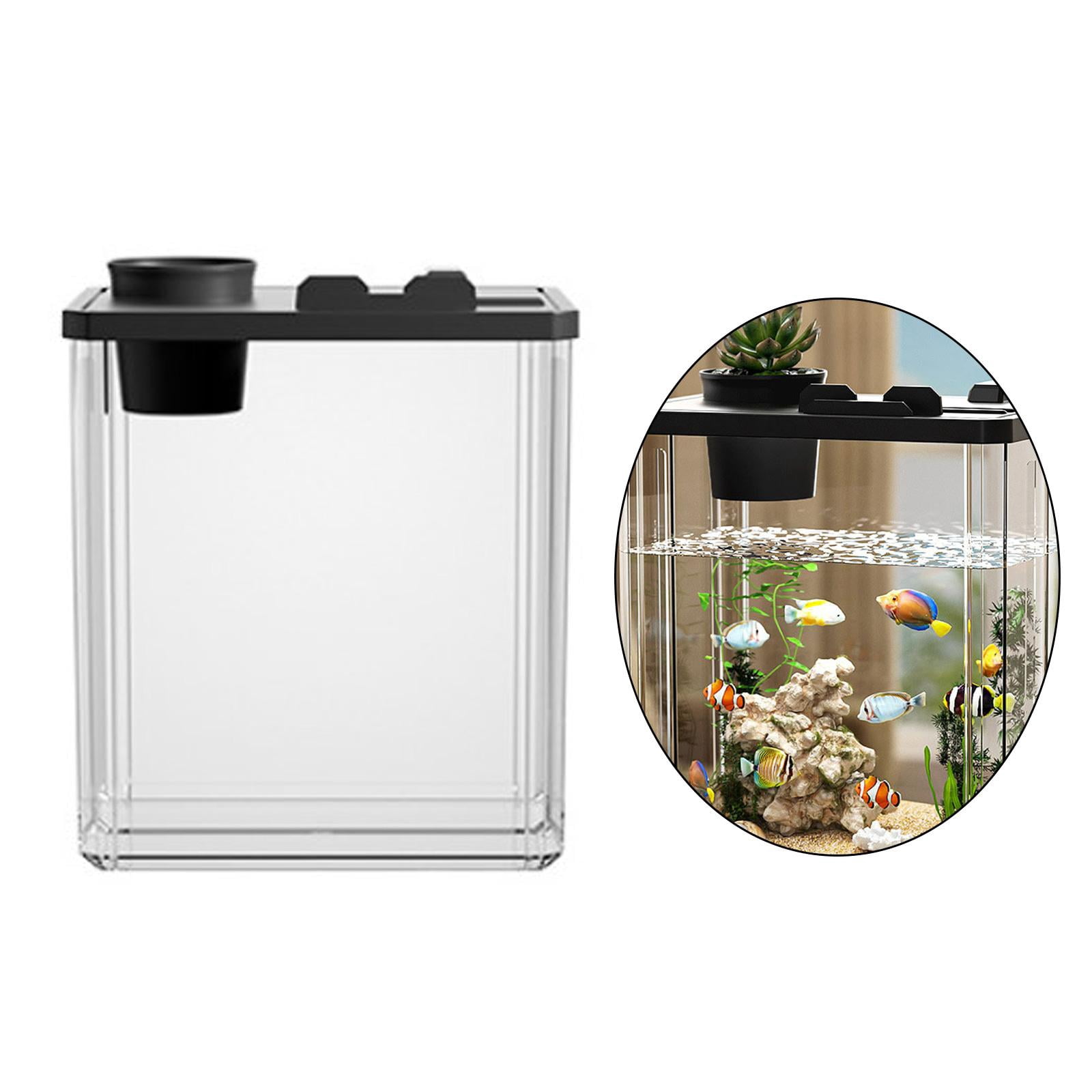 Bvdfgk Reptile Terrarium Tank Clear Visibility Desktop Habitat Small Fish Aquarium Tank for Fish , Black