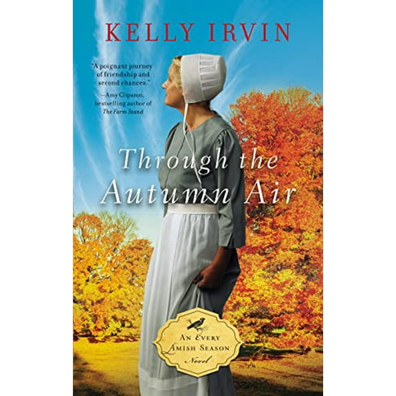 Pre-Owned Through the Autumn Air (Mass Market Paperback) 0310362164 9780310362166