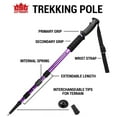 thumbnail image 7 of 53" Purple Shock-Resistant Adjustable Trekking Pole, 7 of 7