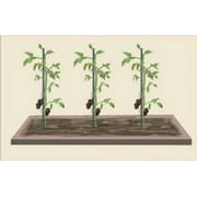 EcoStake Garden Stakes for Plants Vegetable Fence Post 1/4x48, Pack of 40 Fiberglass Stakes Tree/Cucumber/Tomato/Bean Pole Stake Rust-free