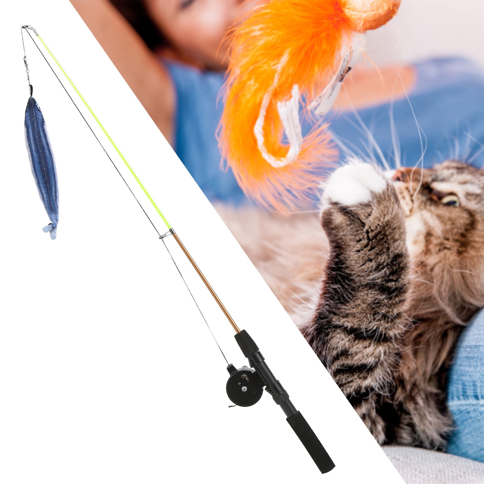 cat stick fishing pole AGGER Casting Toy, Cat Casting Toy Set, Interactive Toy for Cats, Tangle-Free Design, Cat Toy for Indoor Outdoor Cats : Everything Else which is a good gift for your cats Cat Fishing Pole Toy -