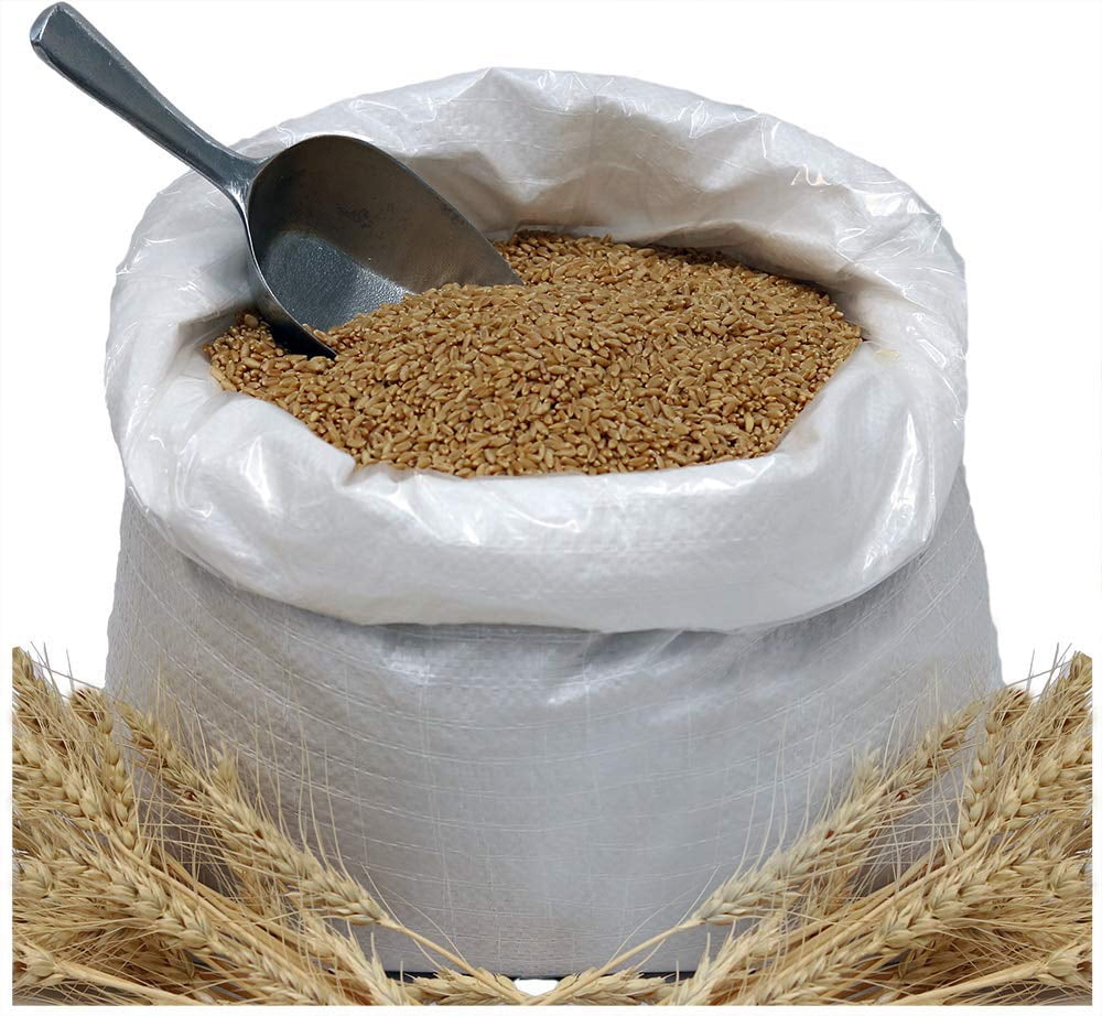 Organic Hard White 24Lbs Wheat Berries