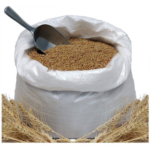 Organic Hard White 24Lbs Wheat Berries