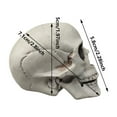 thumbnail image 3 of Human Skull Replica - Anatomically Accurate Skeleton Head Prop for Halloween Parties, Haunted Bars & Spooky Home Decorations, 3 of 7
