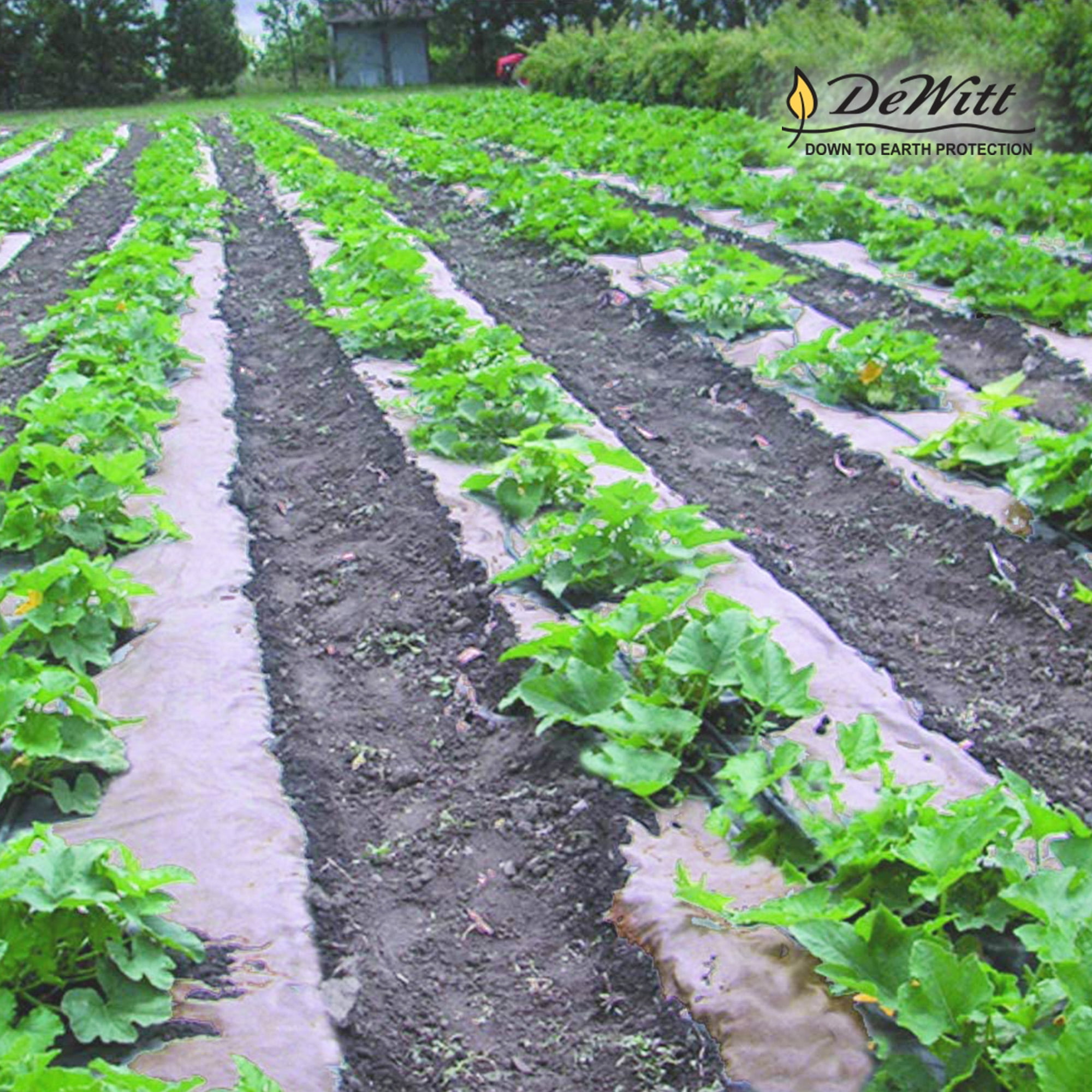 DeWitt Garden Weed Barrier Natural Paper Mulch, Organic Ground Cover Mat, 4 x 300 Feet