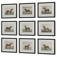 thumbnail image 4 of Uttermost Equine Dynasty Framed Prints in Multi-Color (Set of 9), 4 of 4