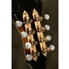 Waverly F-style Mandolin Machines with Pearl Knobs, Satin gold
