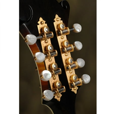 Waverly F-style Mandolin Machines with Pearl Knobs, Satin gold
