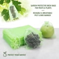 thumbnail image 3 of 100PCS Fruit Protection Bags 8x12 Inch Fruit Bags Green Reusable Mesh Bag with Drawstring for Vegetables Fruits Grapes Mango Tomato Strawberry, 3 of 6